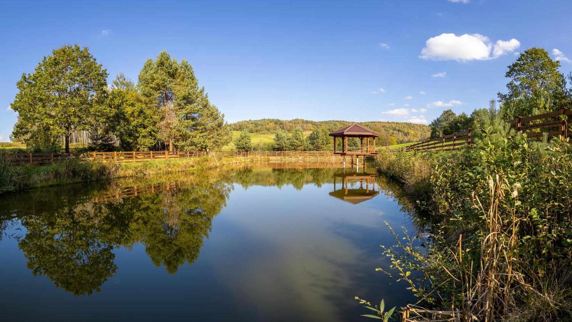 Отель Glamping Pod Gwiazdami Pietrusza Wola Экстерьер фото