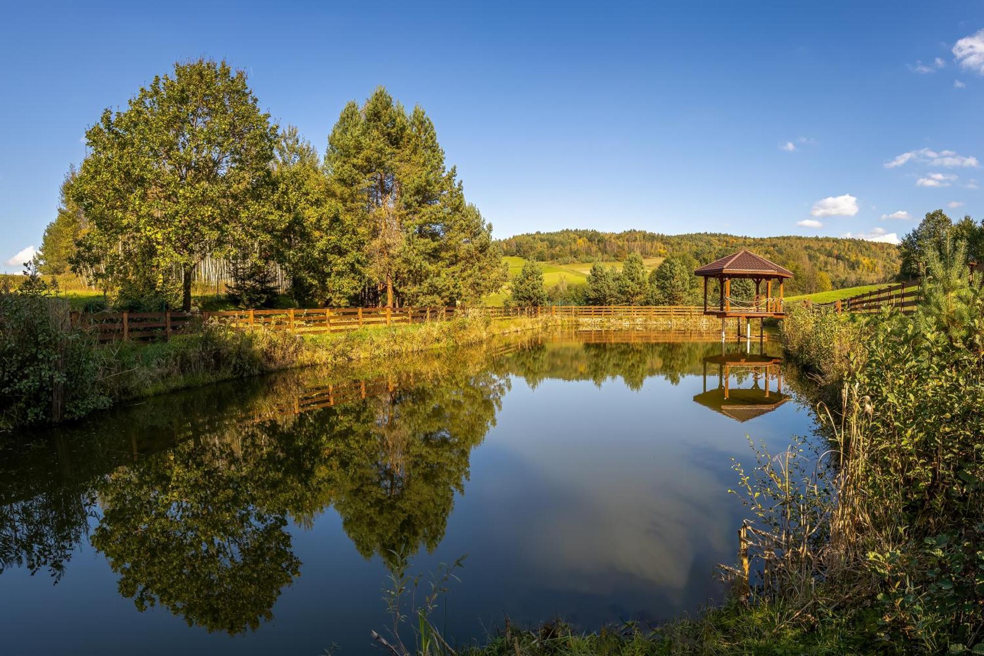 Отель Glamping Pod Gwiazdami Pietrusza Wola Экстерьер фото